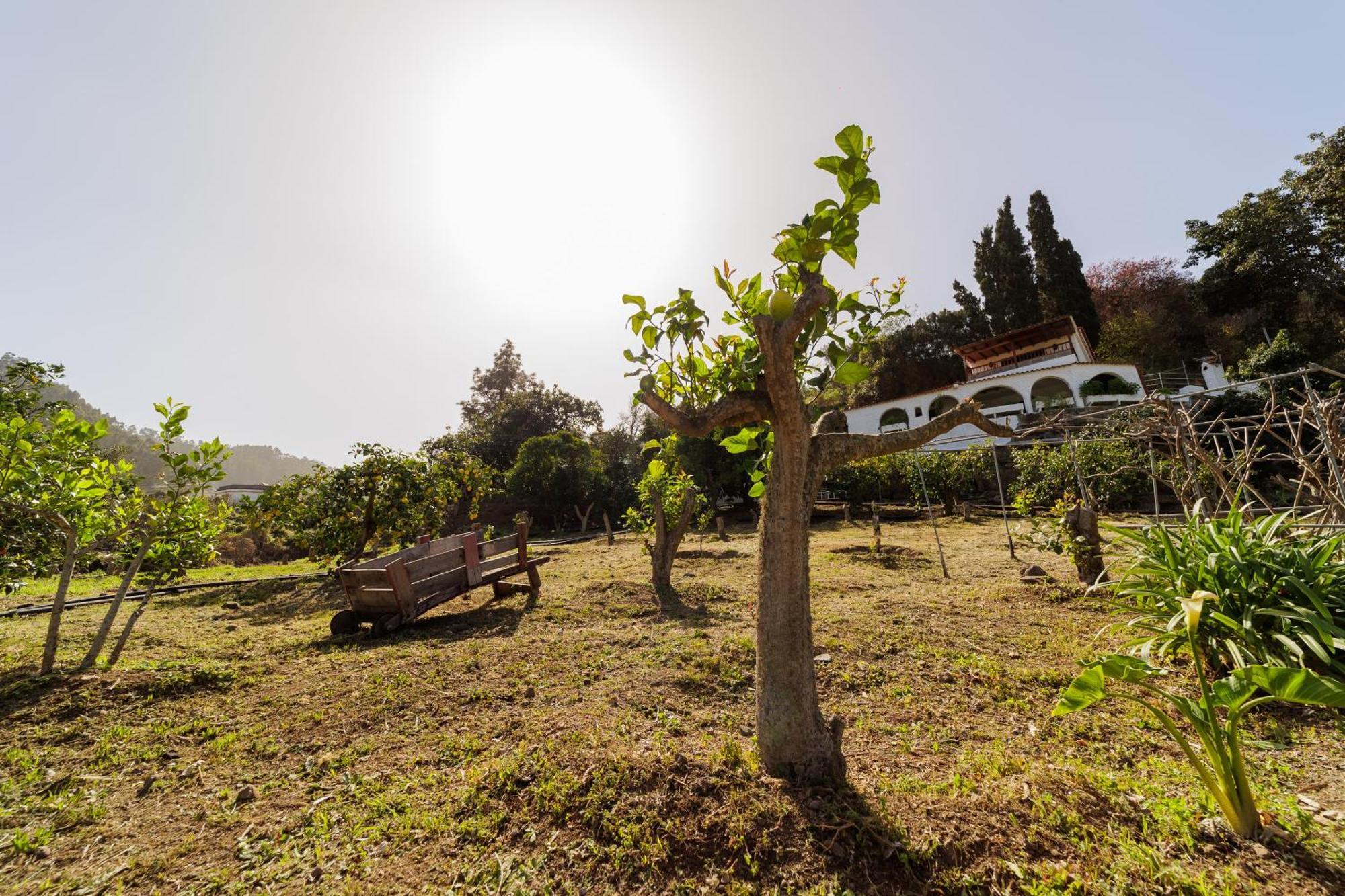Finca Los Arcos Del Laurel Moya  Exterior foto