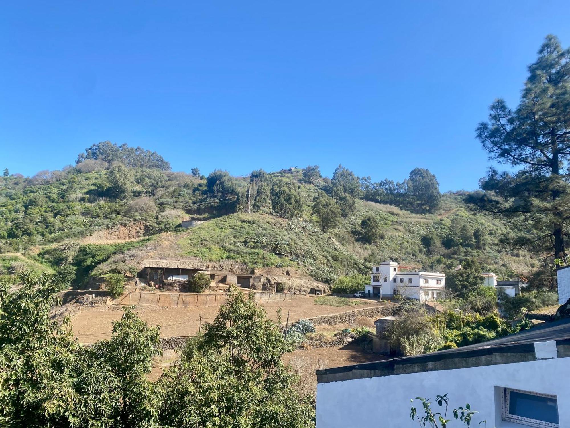 Finca Los Arcos Del Laurel Moya  Exterior foto