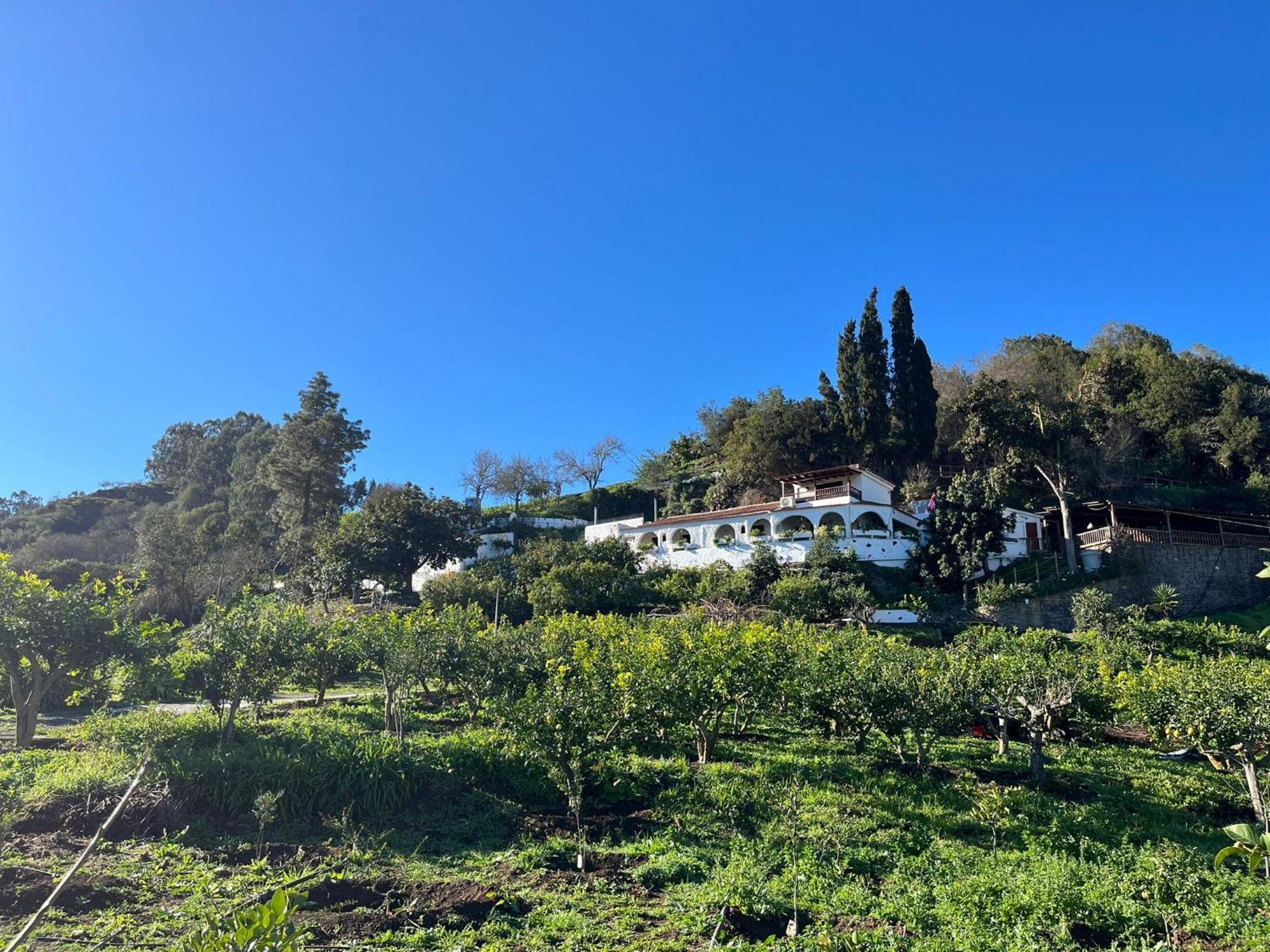 Finca Los Arcos Del Laurel Moya  Exterior foto