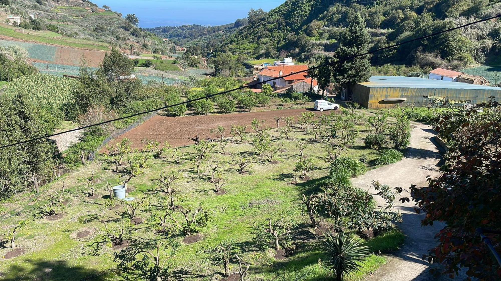Finca Los Arcos Del Laurel Moya  Exterior foto