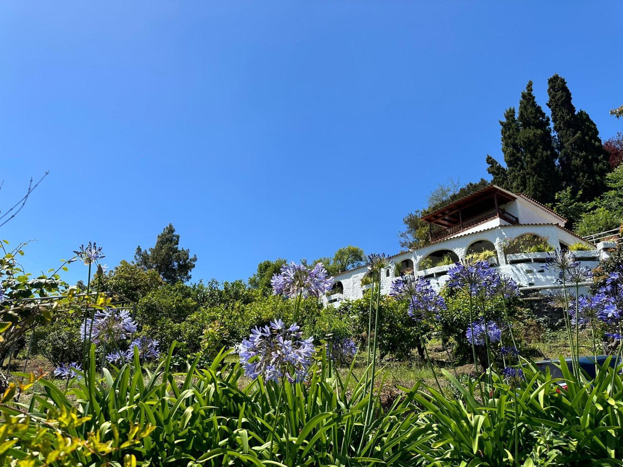 Finca Los Arcos Del Laurel Moya  Exterior foto